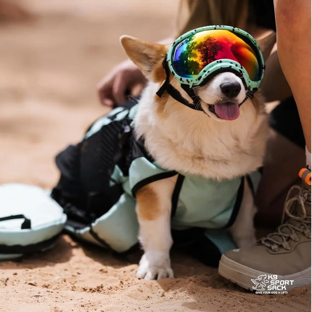 K9 Sport Sack Plus 2 Small Mint Dog Carrier Backpack 10"L X 9"W X 17"H - Picture 5 of 15